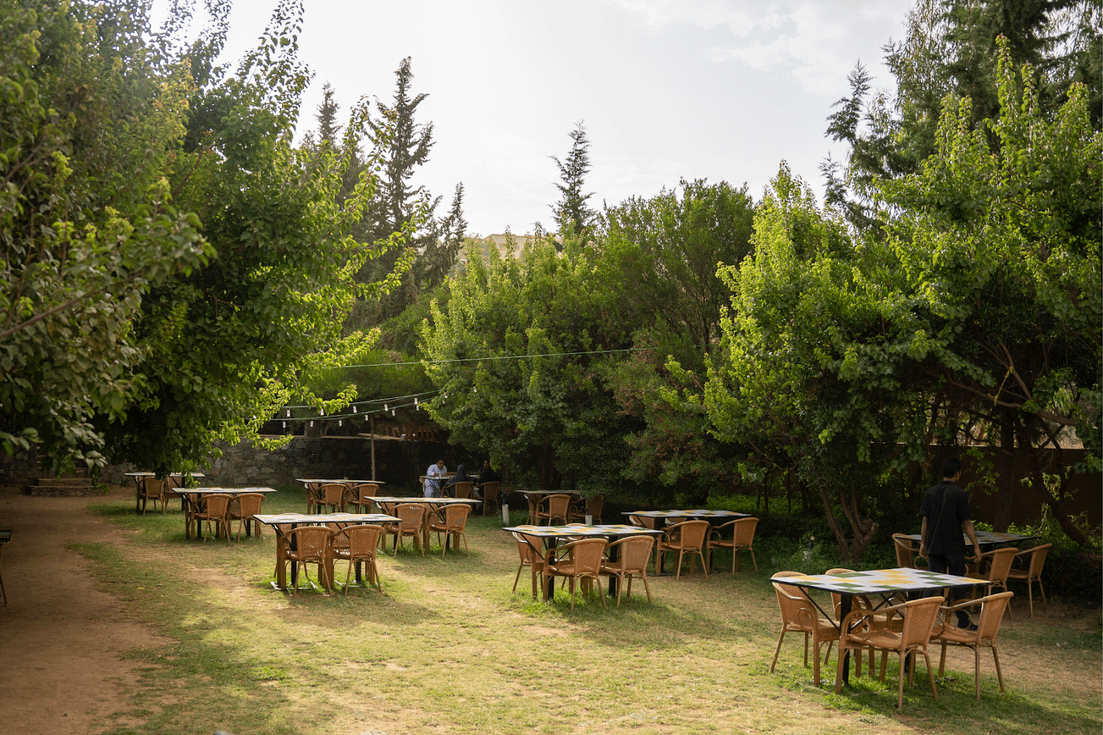 مزرعة أعناب
