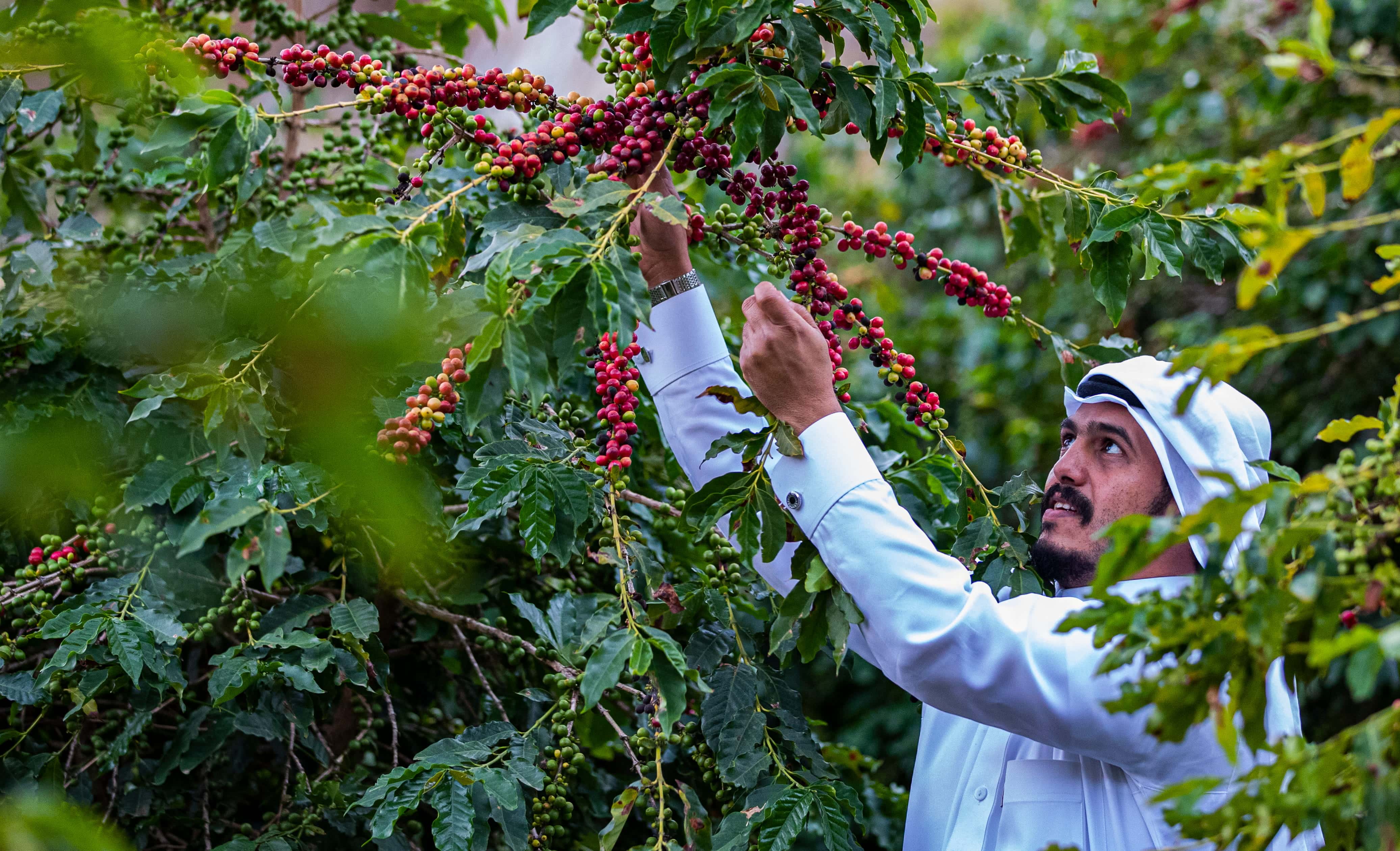 Paragliding view of mountains