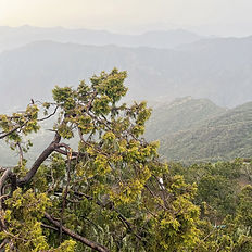 Paragliding view of mountains