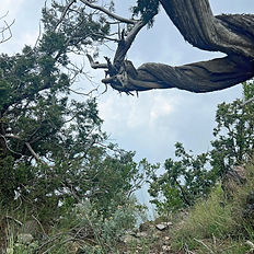 Paragliding view of mountains